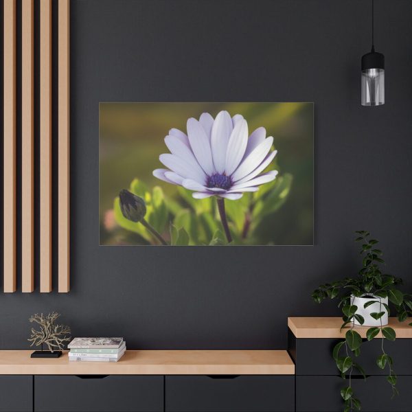 91638-438.jpg Herbaceous Plant Standard Canvas