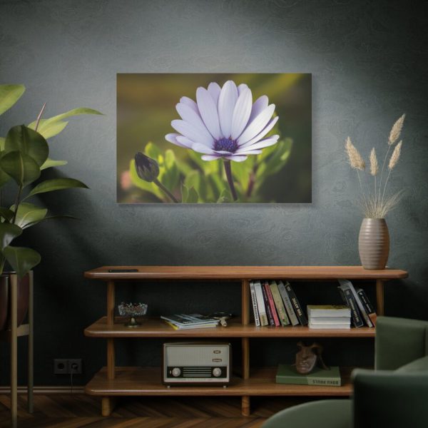 91638-439.jpg Herbaceous Plant Standard Canvas
