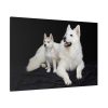 91638-45.jpg White Swiss Shepherds Standard Canvas