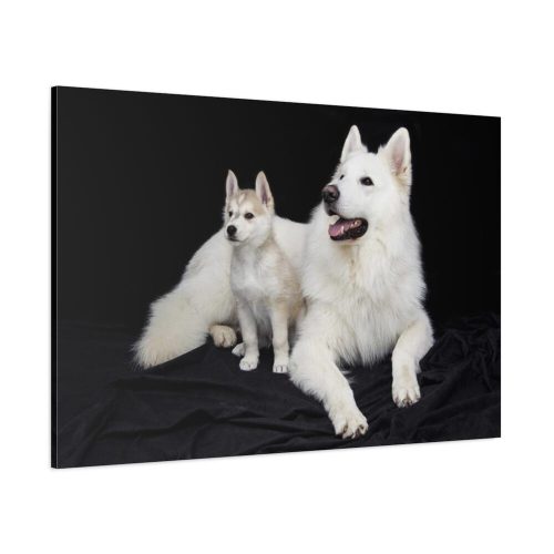 White Swiss Shepherds Standard Canvas
