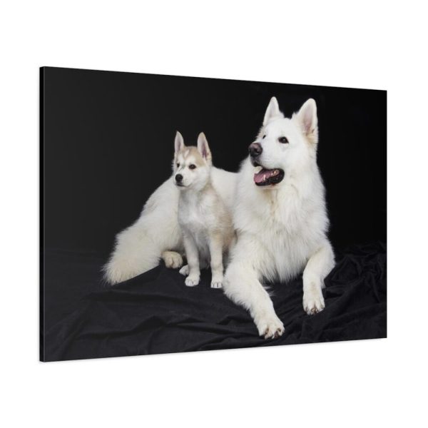 91638-45.jpg White Swiss Shepherds Standard Canvas