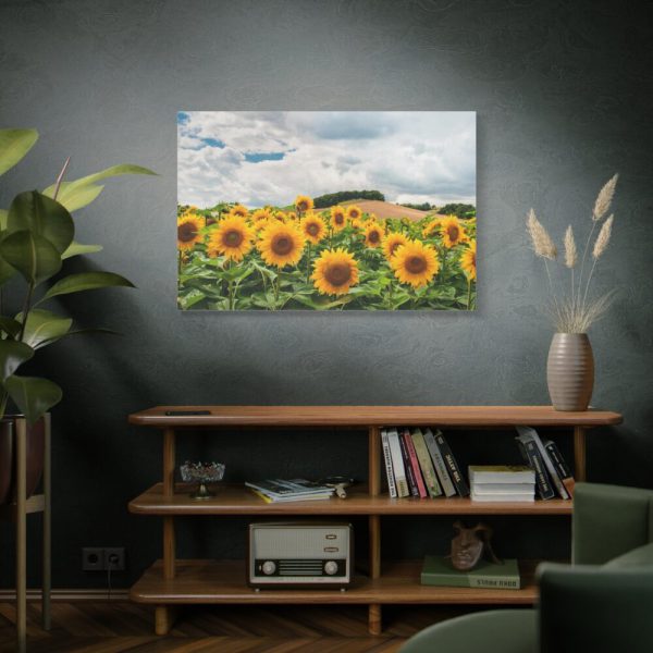 91638-469.jpg Agriculture Sunflower Standard Canvas