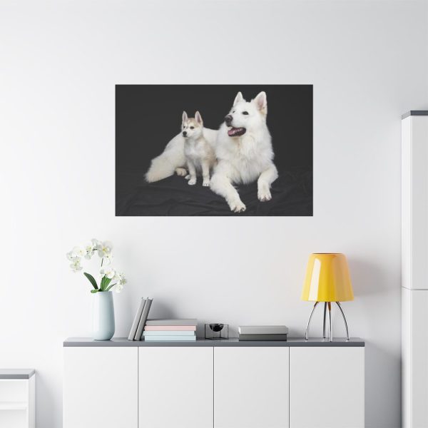 91638-47.jpg White Swiss Shepherds Standard Canvas