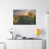 91638-472.jpg Sunflower Plant Flower Standard Canvas