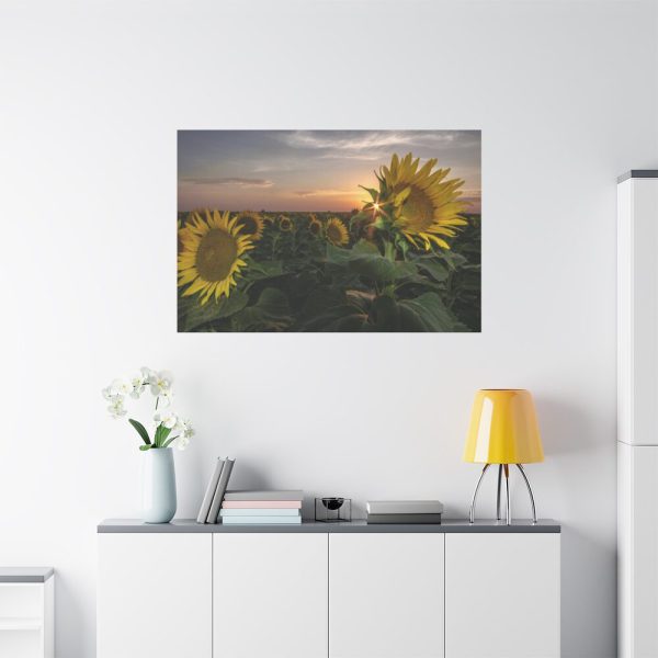 91638-472.jpg Sunflower Plant Flower Standard Canvas