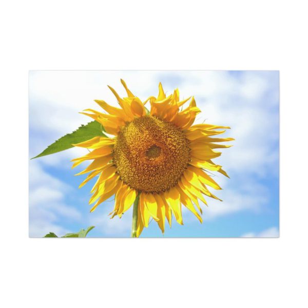 91638-486.jpg Farming Yellow Flowers Standard Canvas