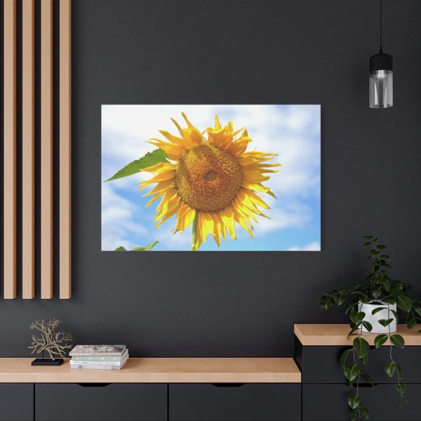 91638-488.jpg Farming Yellow Flowers Standard Canvas