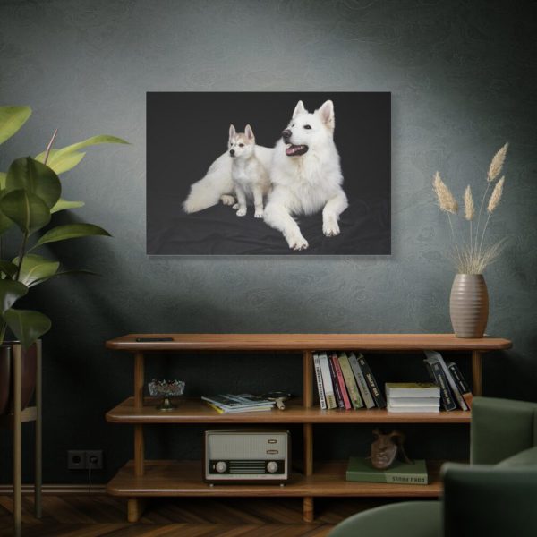 91638-49.jpg White Swiss Shepherds Standard Canvas