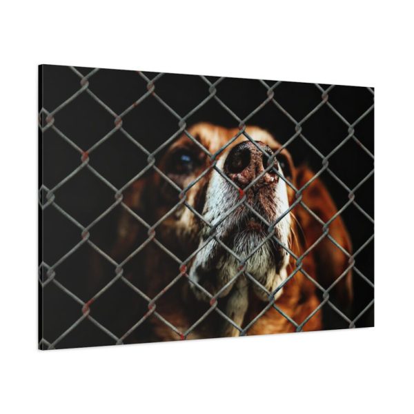 91638-5.jpg Dog Behind Wire Fence Standard Canvas