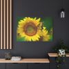 91638-503.jpg Sunflowers Begin to Bloom Standard Canvas