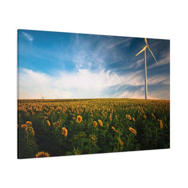 91638-505.jpg Meadow Standard Canvas