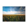 91638-506.jpg Meadow Standard Canvas