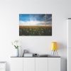 91638-507.jpg Meadow Standard Canvas
