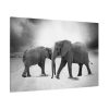 Elephant Ivory Animals Africa Standard Canvas