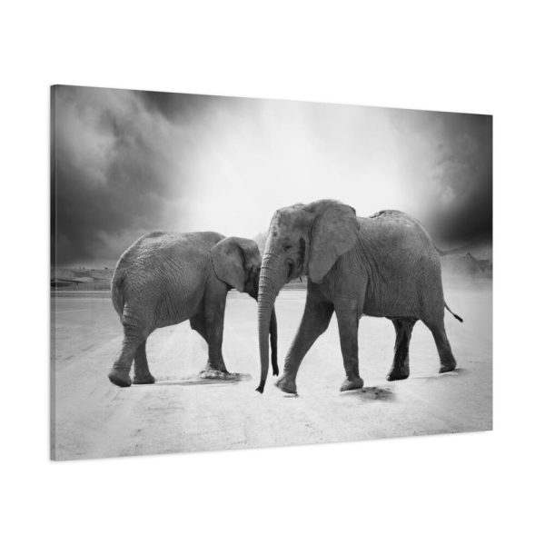 Elephant Ivory Animals Africa Standard Canvas