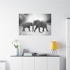 Elephant Ivory Animals Africa Standard Canvas