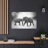 Elephant Ivory Animals Africa Standard Canvas
