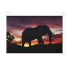 91638-531.jpg Elephant and Sunset in Africa Standard Canvas