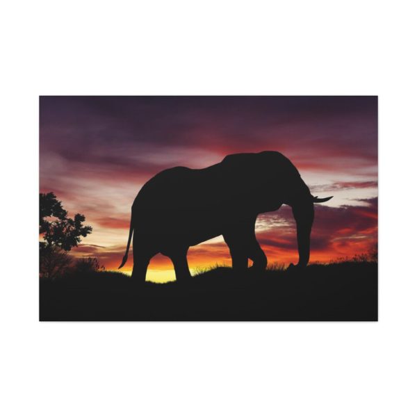 91638-531.jpg Elephant and Sunset in Africa Standard Canvas