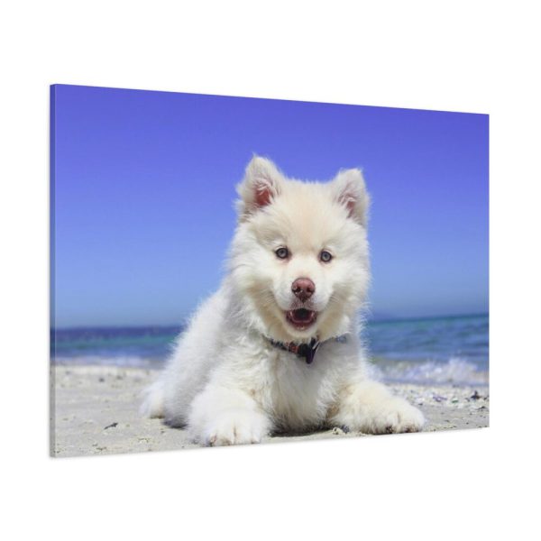 91638-55.jpg Dog on the Beach Standard Canvas