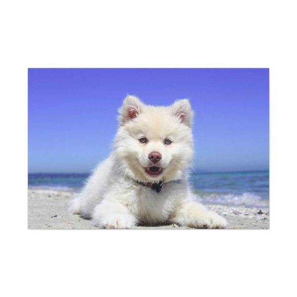 91638-56.jpg Dog on the Beach Standard Canvas
