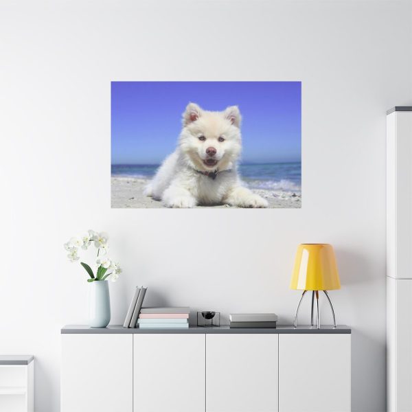 91638-57.jpg Dog on the Beach Standard Canvas