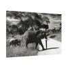91638-575.jpg Mother and Baby Elephant on the Road Standard Canvas