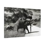 Mother and Baby Elephant on the Road Standard Canvas