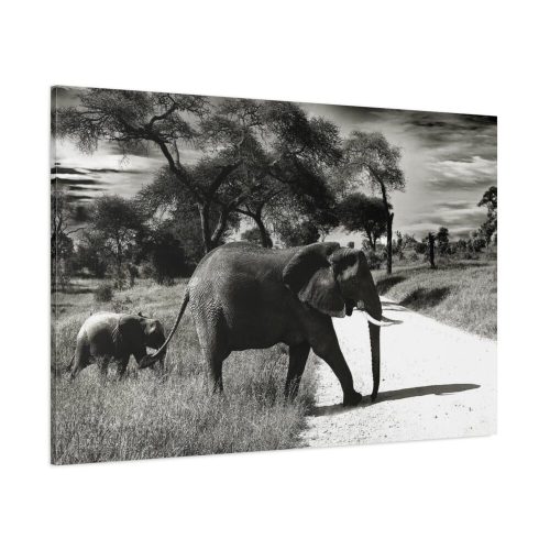 91638-575.jpg Mother and Baby Elephant on the Road Standard Canvas