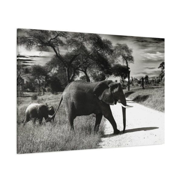 91638-575.jpg Mother and Baby Elephant on the Road Standard Canvas
