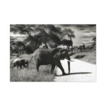 Mother and Baby Elephant on the Road Standard Canvas - Image 2