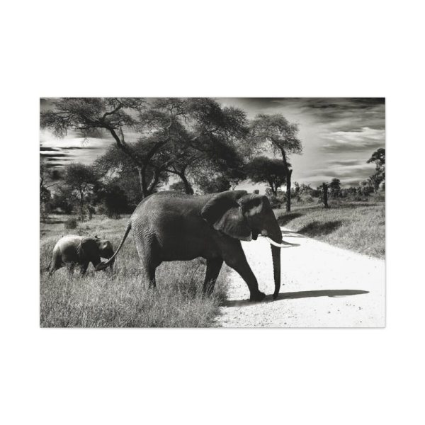 91638-576.jpg Mother and Baby Elephant on the Road Standard Canvas
