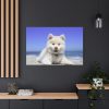 91638-58.jpg Dog on the Beach Standard Canvas