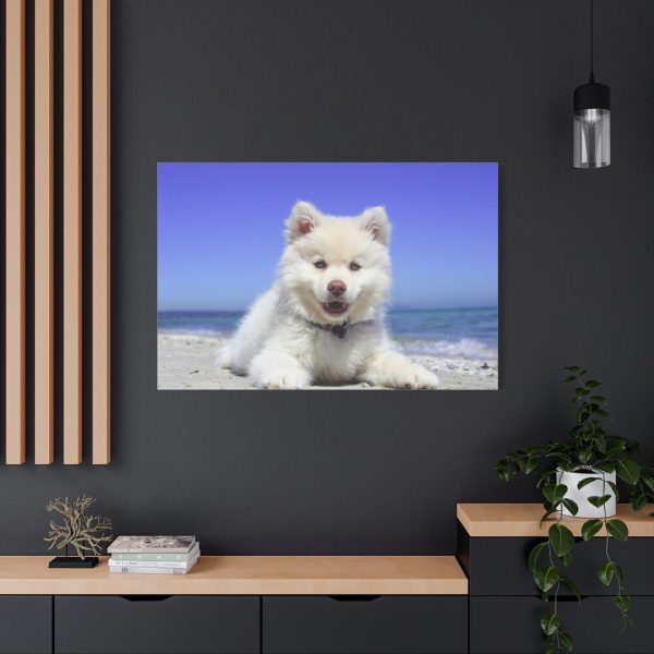 91638-58.jpg Dog on the Beach Standard Canvas