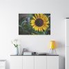 91638-582.jpg Blooming Sunflower Standard Canvas