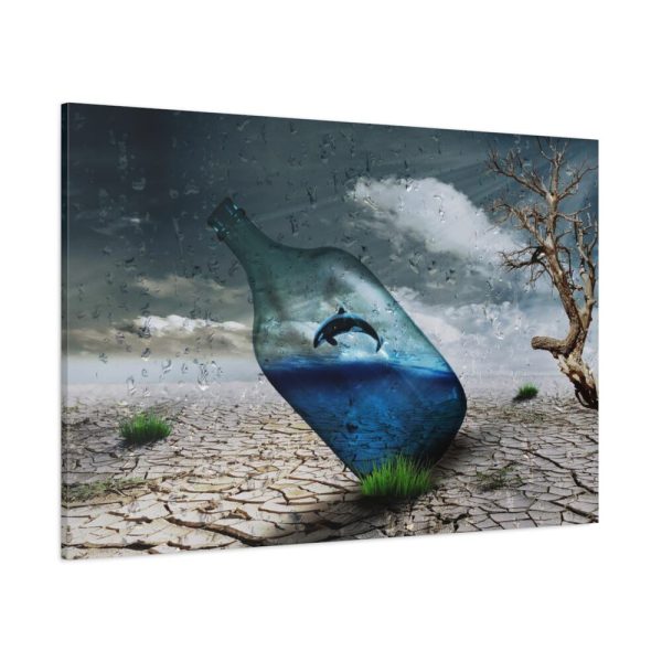91638-585.jpg Bottle Dolphin in Desert Standard Canvas
