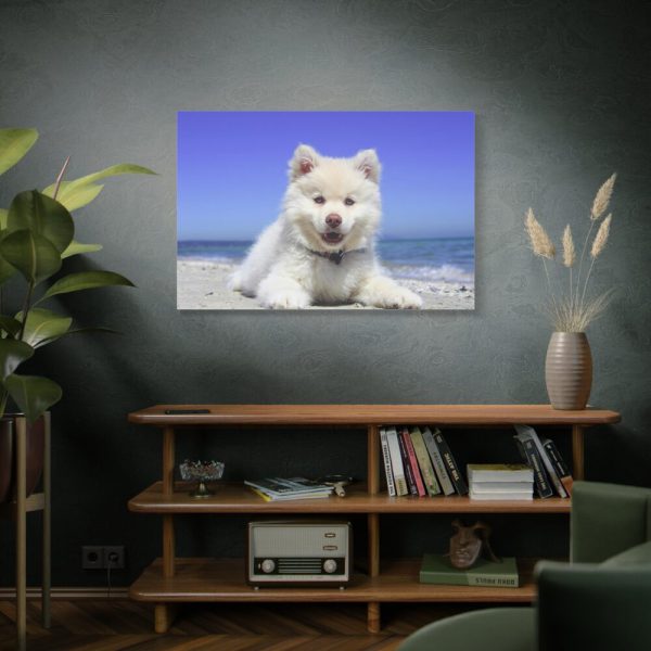 91638-59.jpg Dog on the Beach Standard Canvas