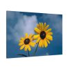 91638-590.jpg Blue Sky and Sunflower Standard Canvas