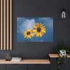 91638-593.jpg Blue Sky and Sunflower Standard Canvas