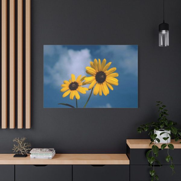 91638-593.jpg Blue Sky and Sunflower Standard Canvas