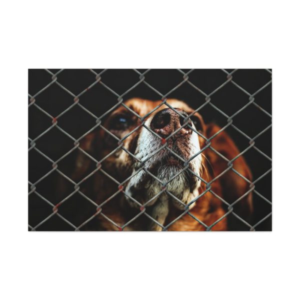 91638-6.jpg Dog Behind Wire Fence Standard Canvas