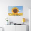91638-627.jpg Sunflower Summer Standard Canvas