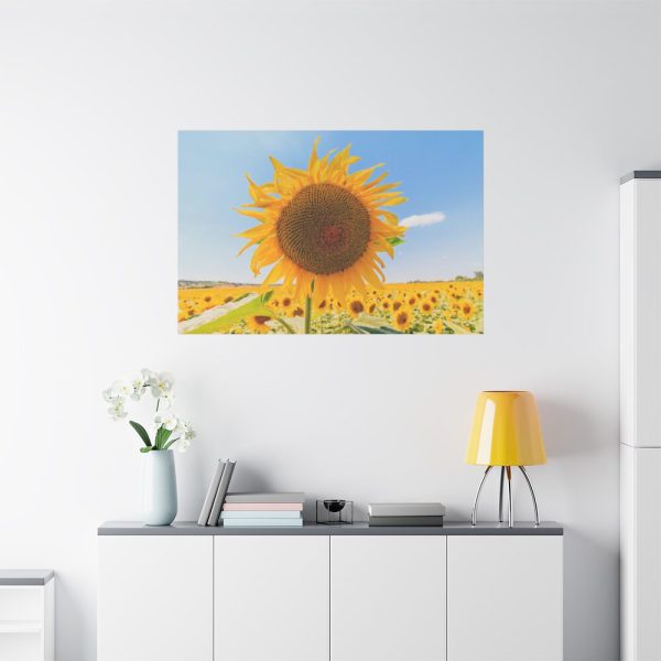 91638-627.jpg Sunflower Summer Standard Canvas