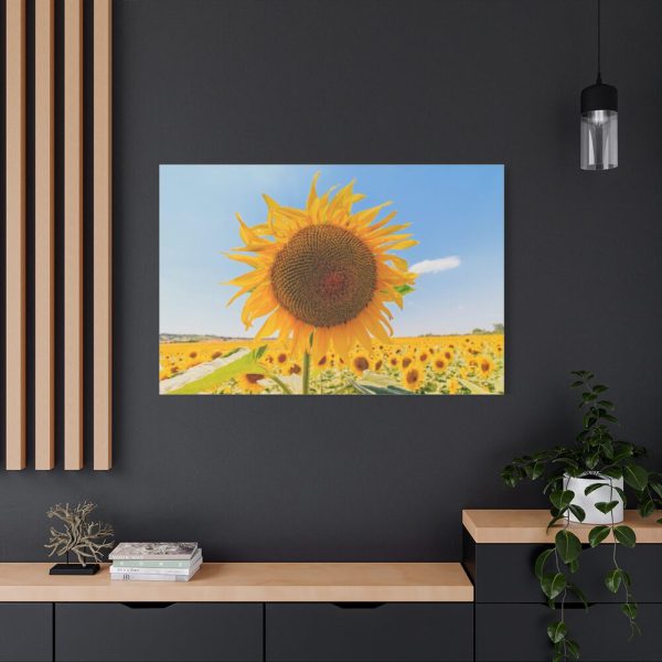 91638-628.jpg Sunflower Summer Standard Canvas