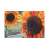 91638-631.jpg Colorful Orange Sunflower Standard Canvas