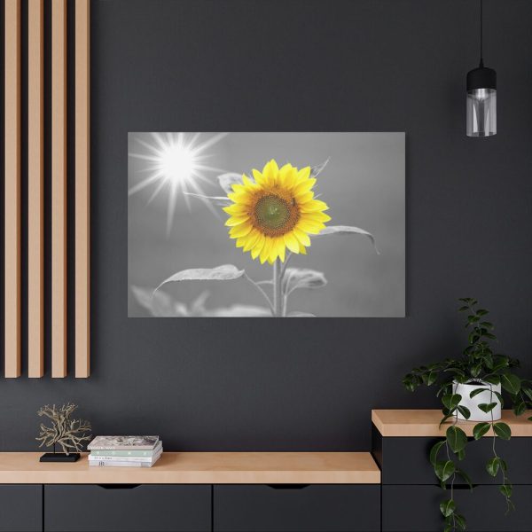 91638-638.jpg Beauty Sunflower Standard Canvas