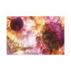 91638-641.jpg Artistic Color Standard Canvas