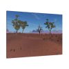 91638-645.jpg Desert in Africa Standard Canvas