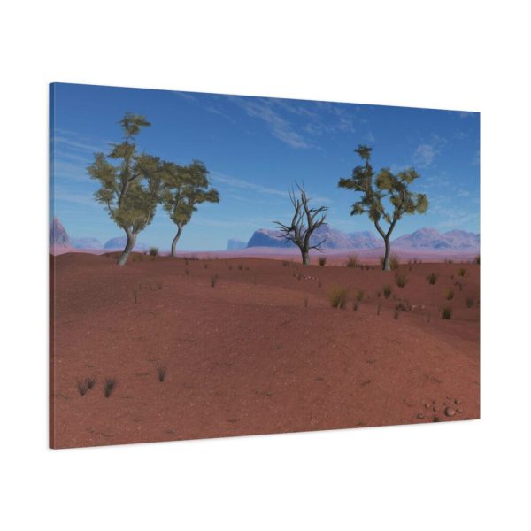 91638-645.jpg Desert in Africa Standard Canvas