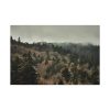 91638-676.jpg Forest Nature Standard Canvas